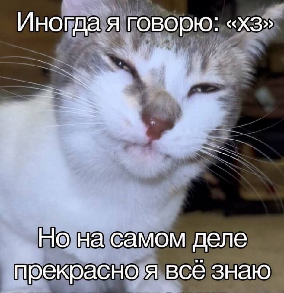 Иногда я говорю: Но на самом деле прекрасно я BCE знаю
