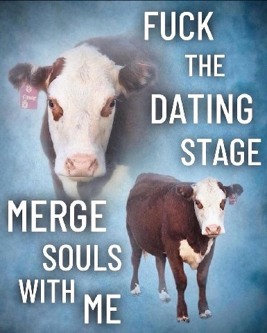 FUCK THE DATING STAGE MERGE SOULS
