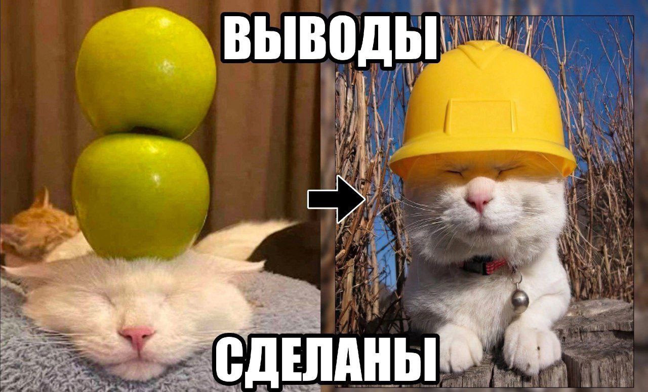 ВЫВОД 1, 4 СДЕЛАНЫ