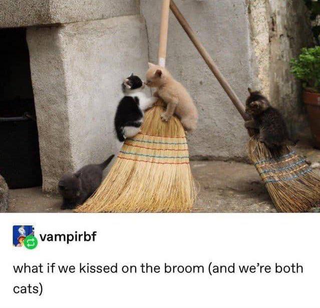 3 у 5 4 4 Я iff what if we kissed on the broom (and ме’ге both cats)