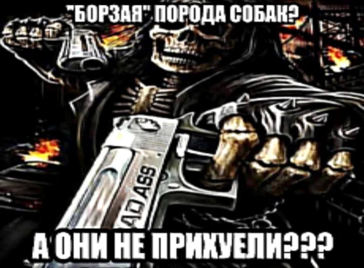 ПОРОДА НЕ ПРИХУЕЛИ222
