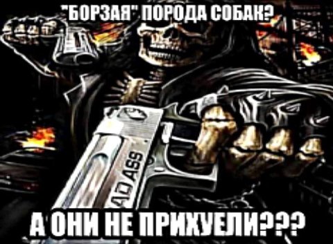 ПОРОДА НЕ ПРИХУЕЛИ222