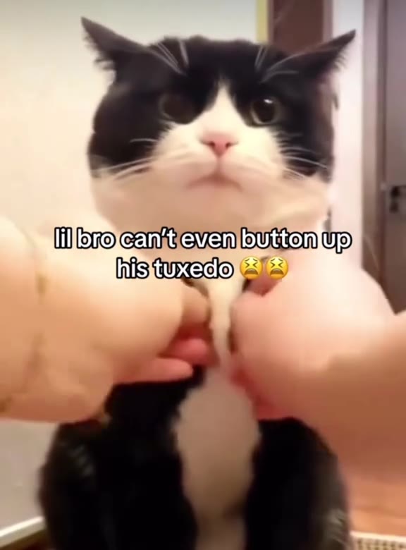 | го{сапеметь тур) lillbrokean,teven|button\up Hiro canteven bution ур)