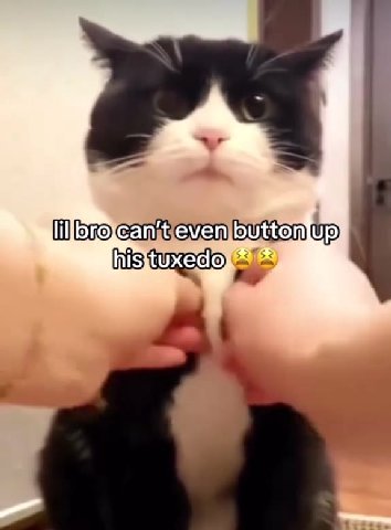 | го{сапеметь тур) lillbrokean,teven|button\up Hiro canteven bution ур)