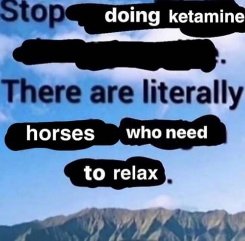 doing ketamine horses who need to relax