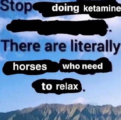 doing ketamine horses who need to relax
