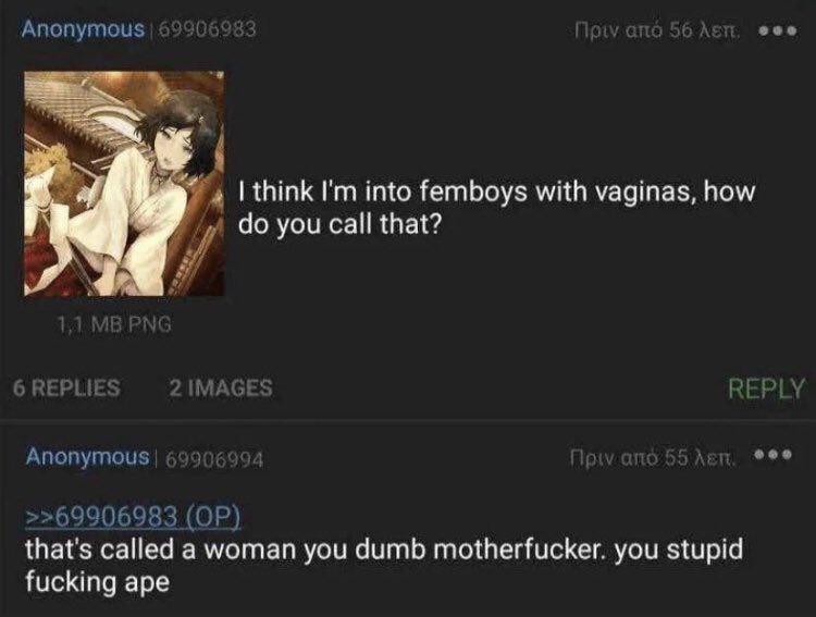 Anonymous 69 eee think into femboys with vaginas, how you call that? if REPLIE: IMAGE! REPLY Anonymous >>69906983 that's called a woman you dumb motherfucker. you stupid fucking ape