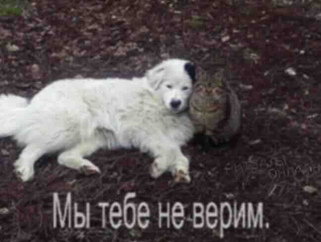 Мы тебе верим.