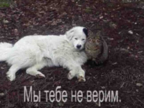 Мы тебе верим.