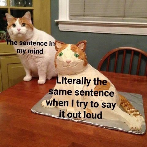 iterally thes ame sentence _When I try to say loud