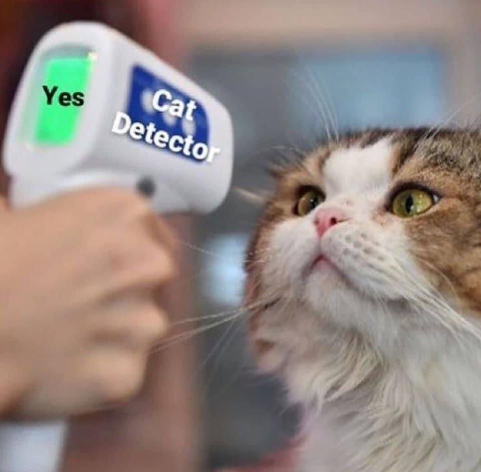 Yes