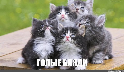 ГОЛЫЕ БЛЯДИ