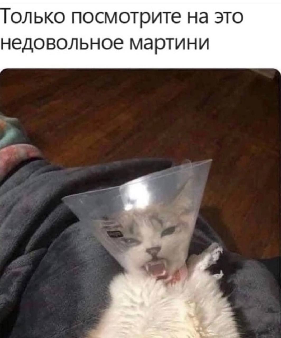 олько посмотрите на это недовольное мартини