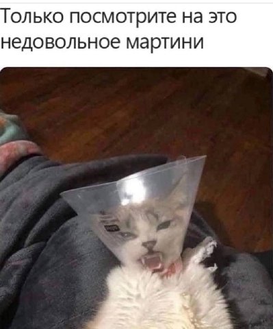 олько посмотрите на это недовольное мартини