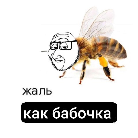 жаль как бабочка
