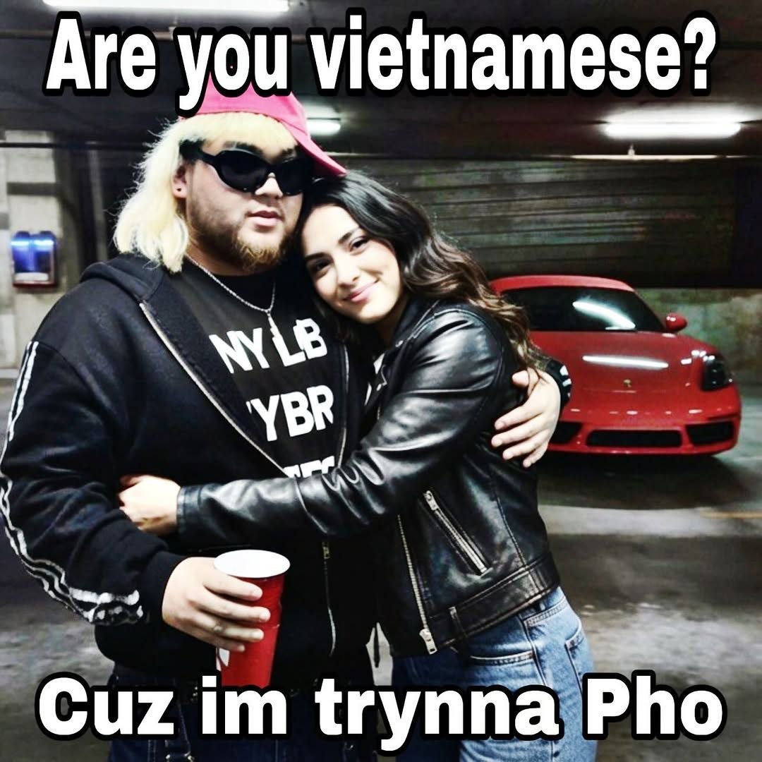 Are you vietnamese? Cuz trynna Pho