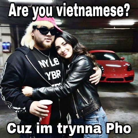 Are you vietnamese? Cuz trynna Pho