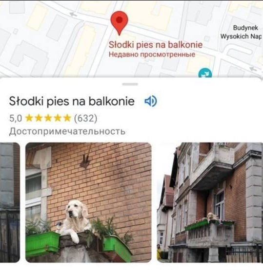 Видупек Wysokich Мар Stodki pies balkonie Недавно просмотренные Stodki pies balkonie 4) 5,0 жжжжх (632) Достопримечательность в