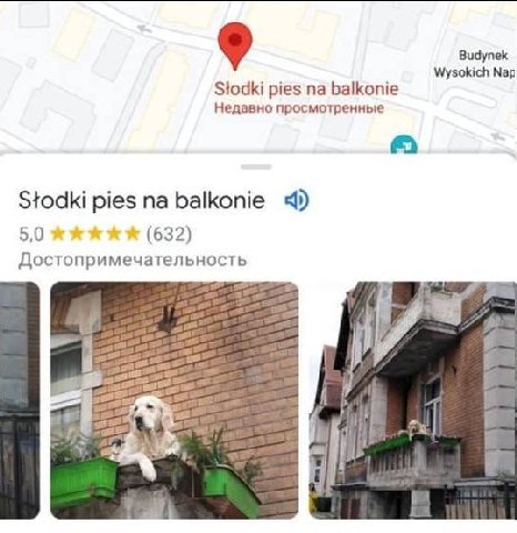 Видупек Wysokich Мар Stodki pies balkonie Недавно просмотренные Stodki pies balkonie 4) 5,0 жжжжх (632) Достопримечательность в