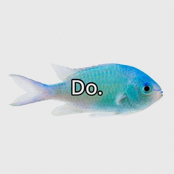 (0)