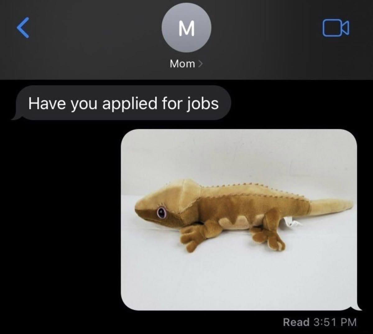 Мот Have you applied for jobs Read 3:51
