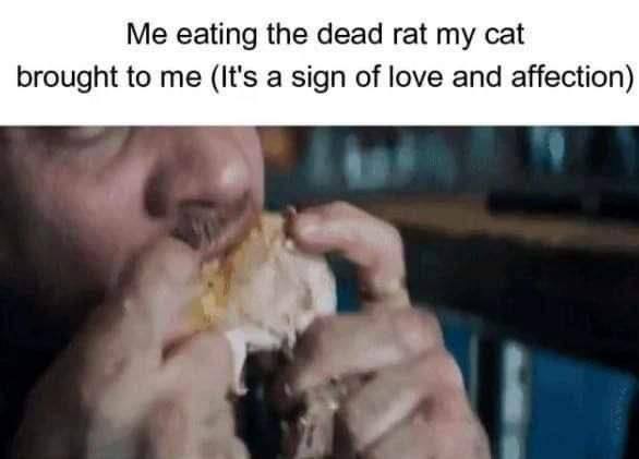 eating the dead rat my cat brought to me (It's a sign of love and affection) i