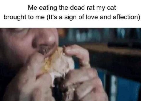 eating the dead rat my cat brought to me (It's a sign of love and affection) i