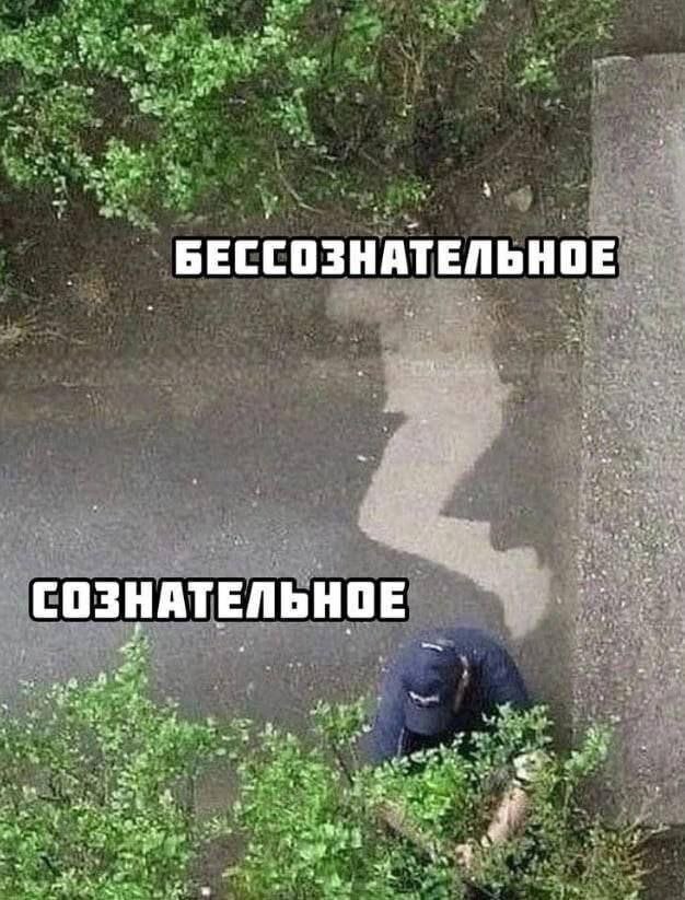 i к у 4 у Caf bHOE `БЕССОЗНАТЕЛЬ у с: 4 2 7 tate A $53 4 “das А ТЕЛЬНОЕ СОЗНА 4 у he 4 LSS 22 pri 4