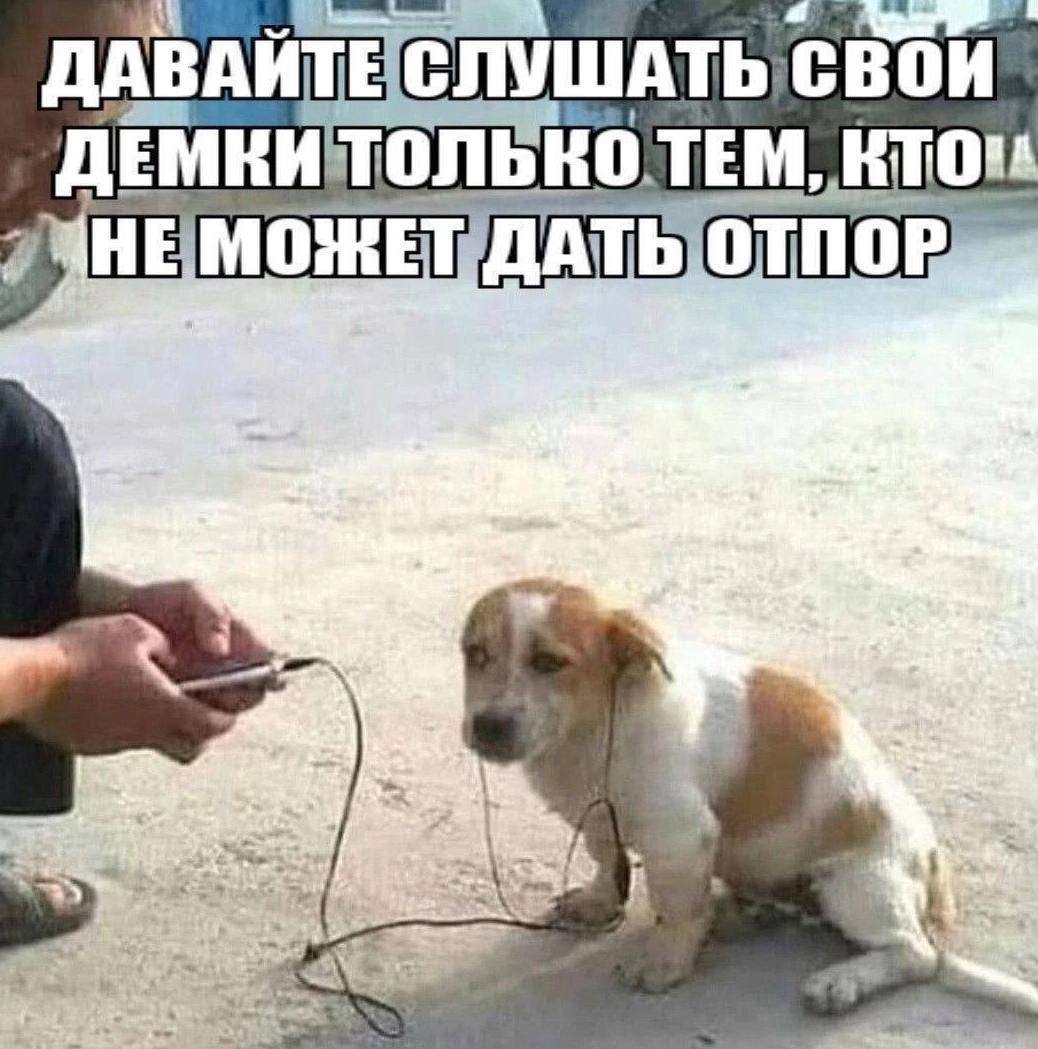 ДАВАЙТЕСЛУШАТЬ СВОИ