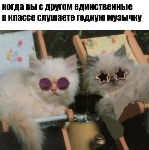 когда вы с другом единственные в классе слушаете годную музычку 1 к