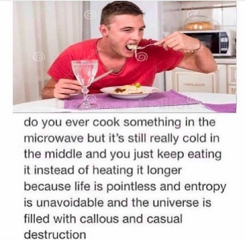 355 you ever in the microwave but it’s still really cold in the middle and you just keep eating it instead of heating it longer because life is pointless and entropy is unavoidable and the universe is