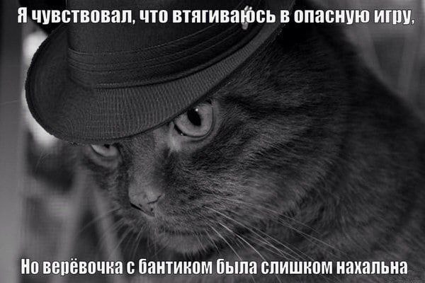 Я чувствовал, что втягиваюсь в опасную игру, Но веревочка с бантиком была слишком нахальна