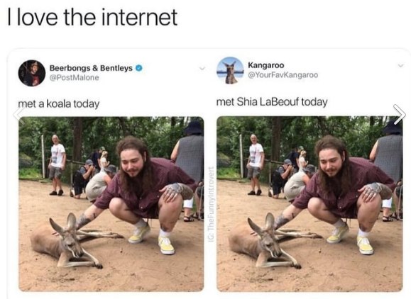 love the internet Beerbongs Bentleys Kangaroo met a koala today met Shia LaBeouf today 2 a a