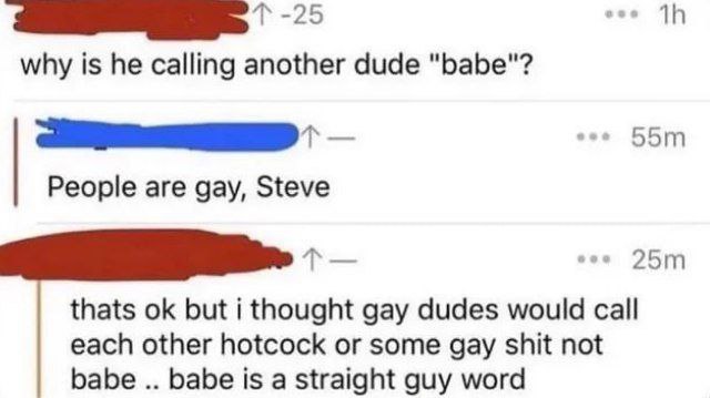 why is he calling another dude "babe"? People are gay, Steve thats but i thought gay dudes would call each other hotcock or some gay shit not babe babe is a straight guy word
