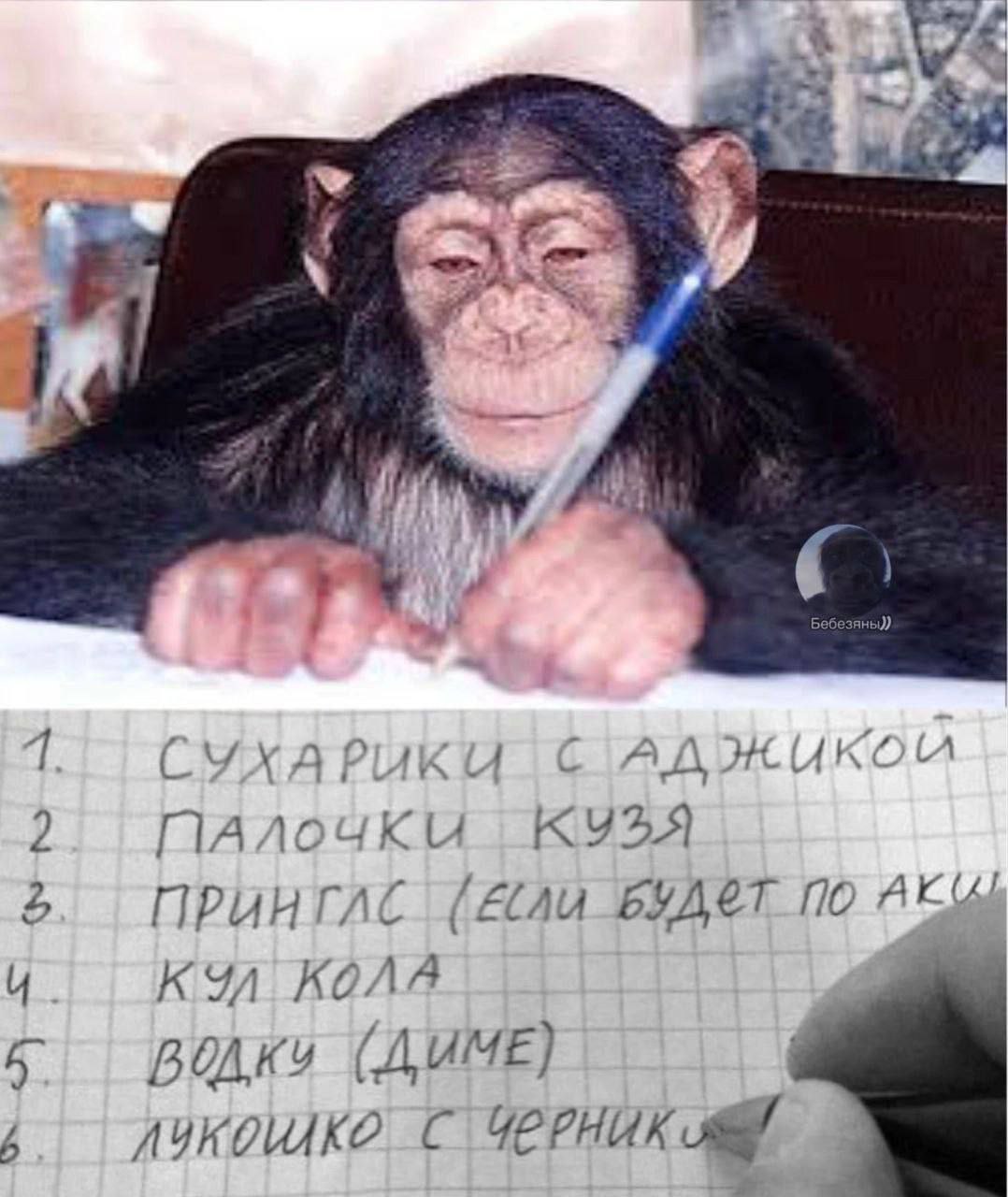 i= С a 1 СУХАРИКИ С 2. ПАЛОЧКИ КУЗЯ ПО 4 КОЛЯ (ДИМЕ) AYKOWKO_C