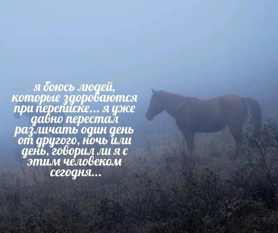 0 которые задровакится при переписке... я уже перестал различать один день этим человеком