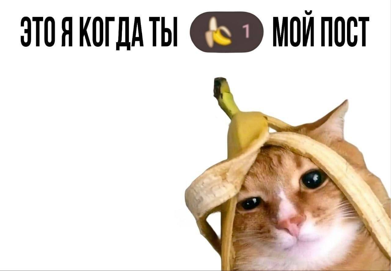 МОЙ ПОСТ