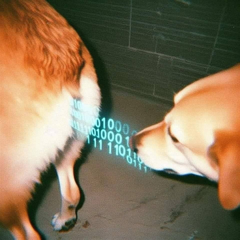 10 0 10
