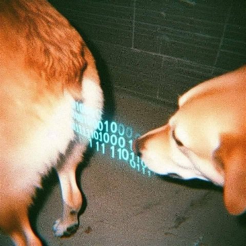 10 0 10