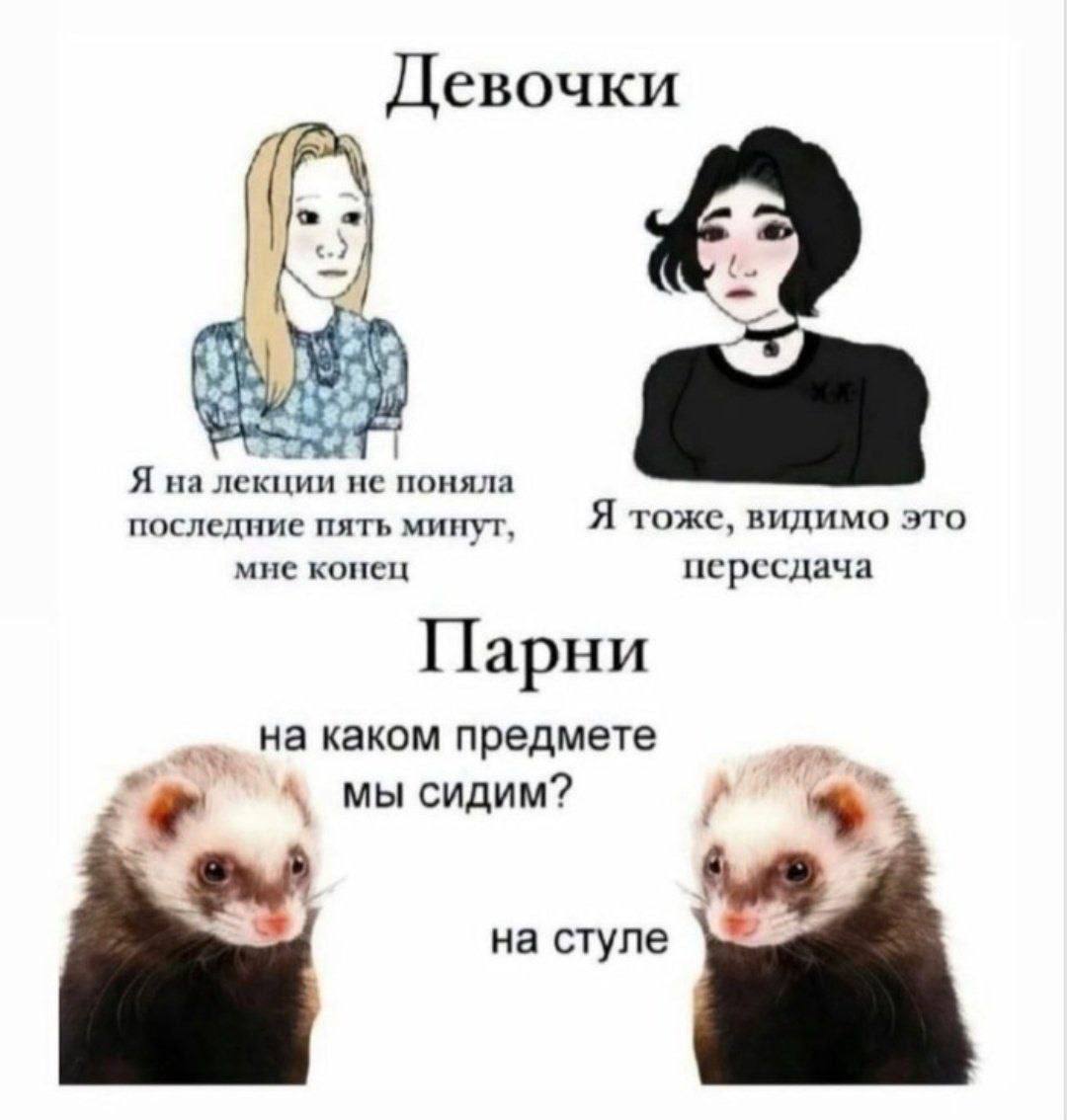 Девочки Я на лекции не поняла последние пять минут, Я тоже, видимо это мне конец пересдача Парни На каком предмете сидим? на стуле
