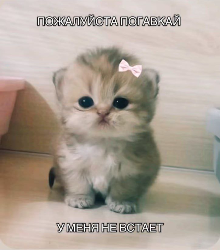 УМЕНЯ НЕ ВСТАЕТ