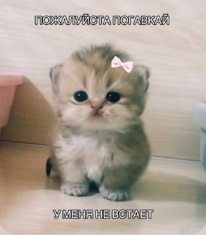 УМЕНЯ НЕ ВСТАЕТ