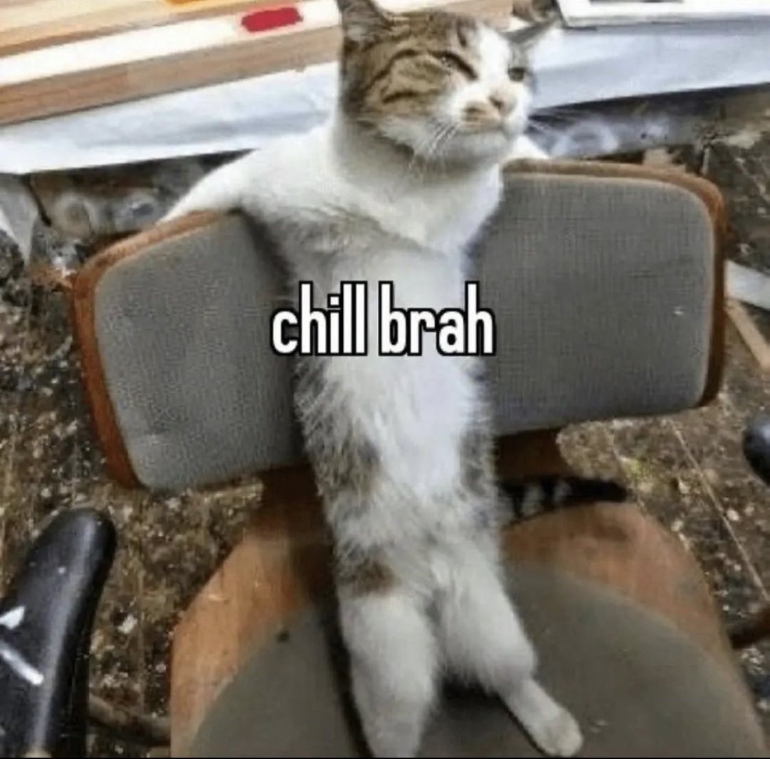 4 chilllbrah