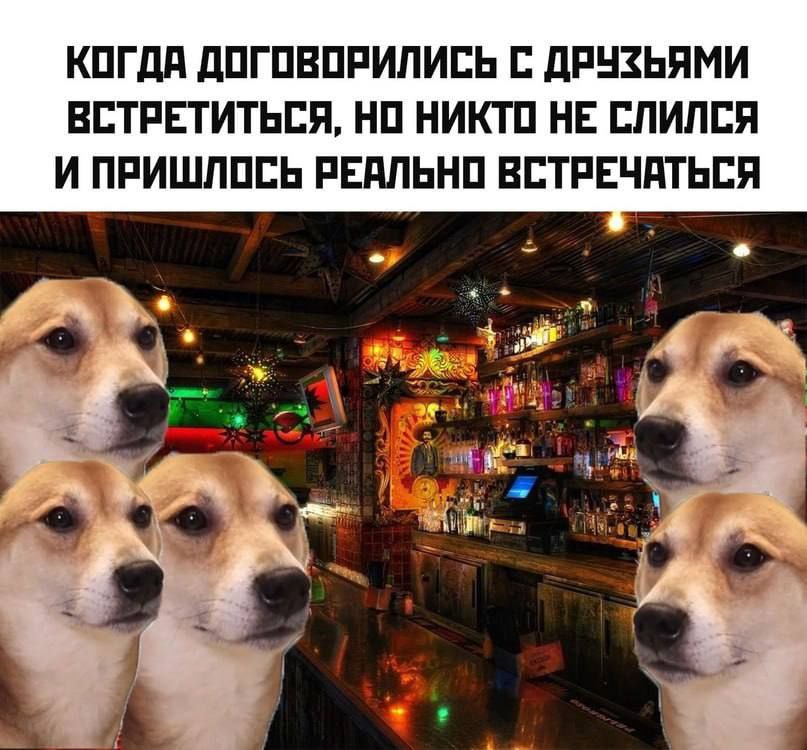 КОГДА ДОГОВОРИЛИСЬ С ДРУЗЬЯМИ ВСТРЕТИТЬСЯ, НО НИКТО НЕ СЛИЛСЯ И ПРИШЛОСЬ РЕАЛЬНО ВСТРЕЧАТЬСЯ