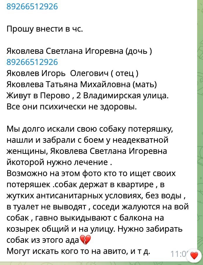 Если вы хотели узнать, как дела у Светки Яковлевой — она оказалась сумасшедшей живодёркой((