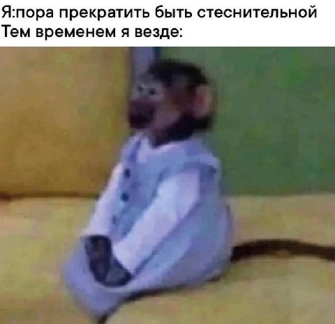 Я:пора прекратить быть стеснительной Тем временем я везде: