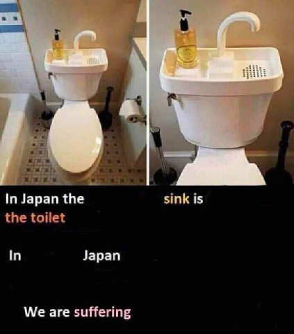 In Japan the sink is the toilet In Japan We are suffering