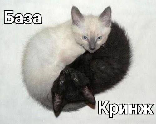 J Кринж