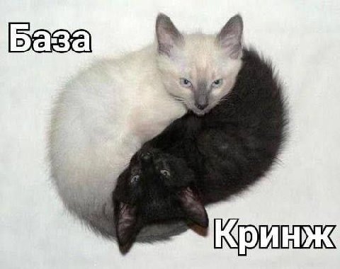 J Кринж