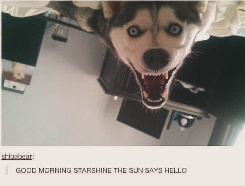 👤 Пельмешек